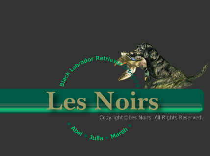 �����u���h�[�����g���o�[